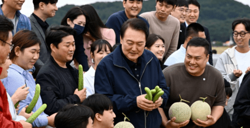 Why young South Koreans’ rural dream meets harsh farming reality
